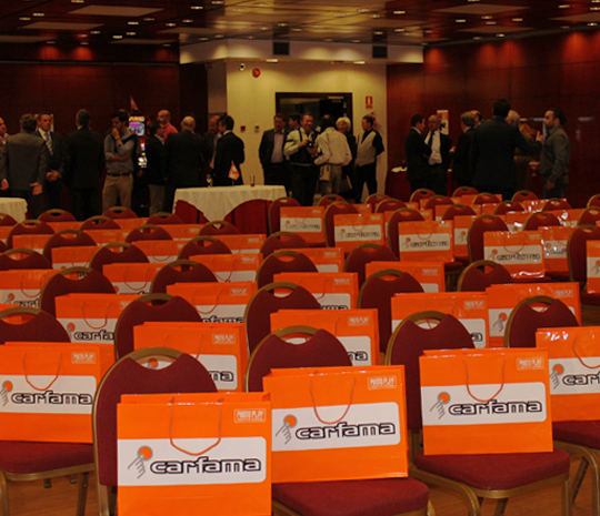 Presentación Madrid 2014 Carfama